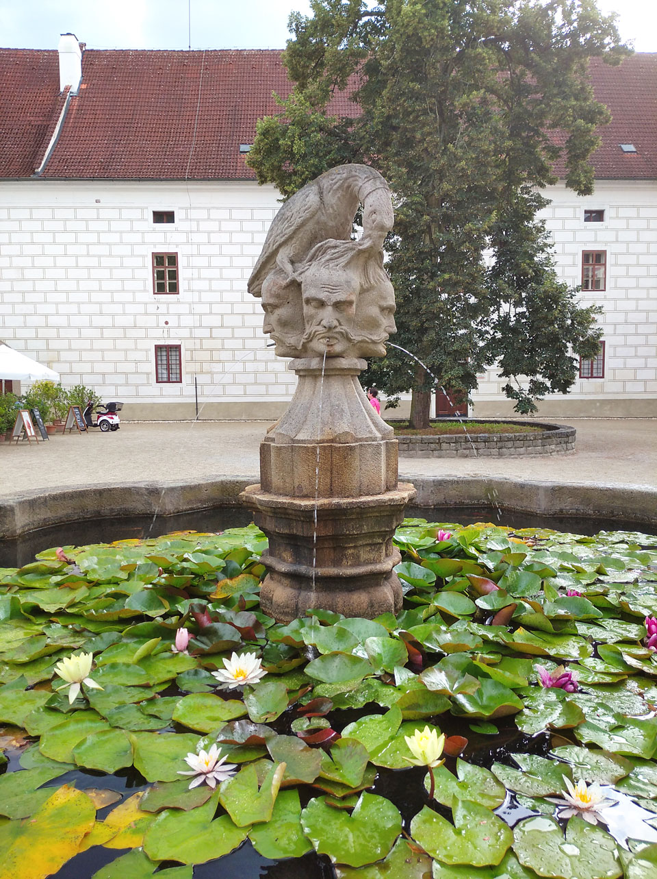 Krkavec vyklovávající oko z hlavy Turka byl politicky poněkud nekorektní součástí erbu šlechtického rodu Schwarzenberků. Ti na třeboňském zámku sídlili a čtveřicí mrtvých tureckých hlav se kochali denně při pohledu na zámeckou kašnu. Tak moc si vážili dávného vítězství nad tureckými pohany.