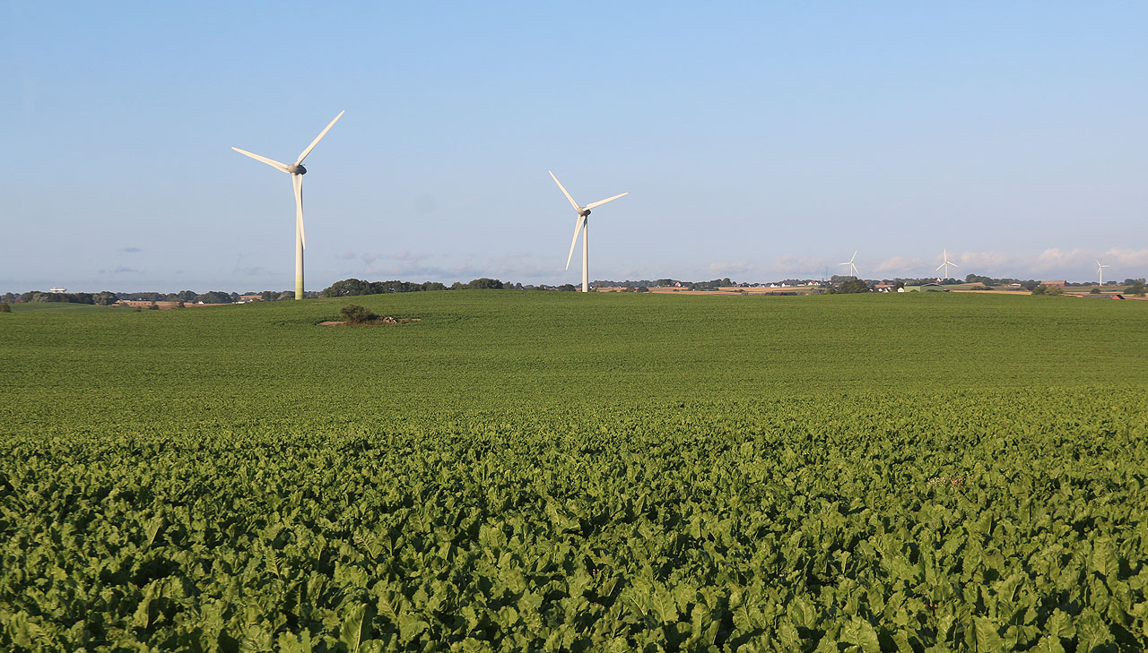 Krajina jižního a jihovýchodního Švédska je plochá, větrná a ideální pro pohyb na kole.