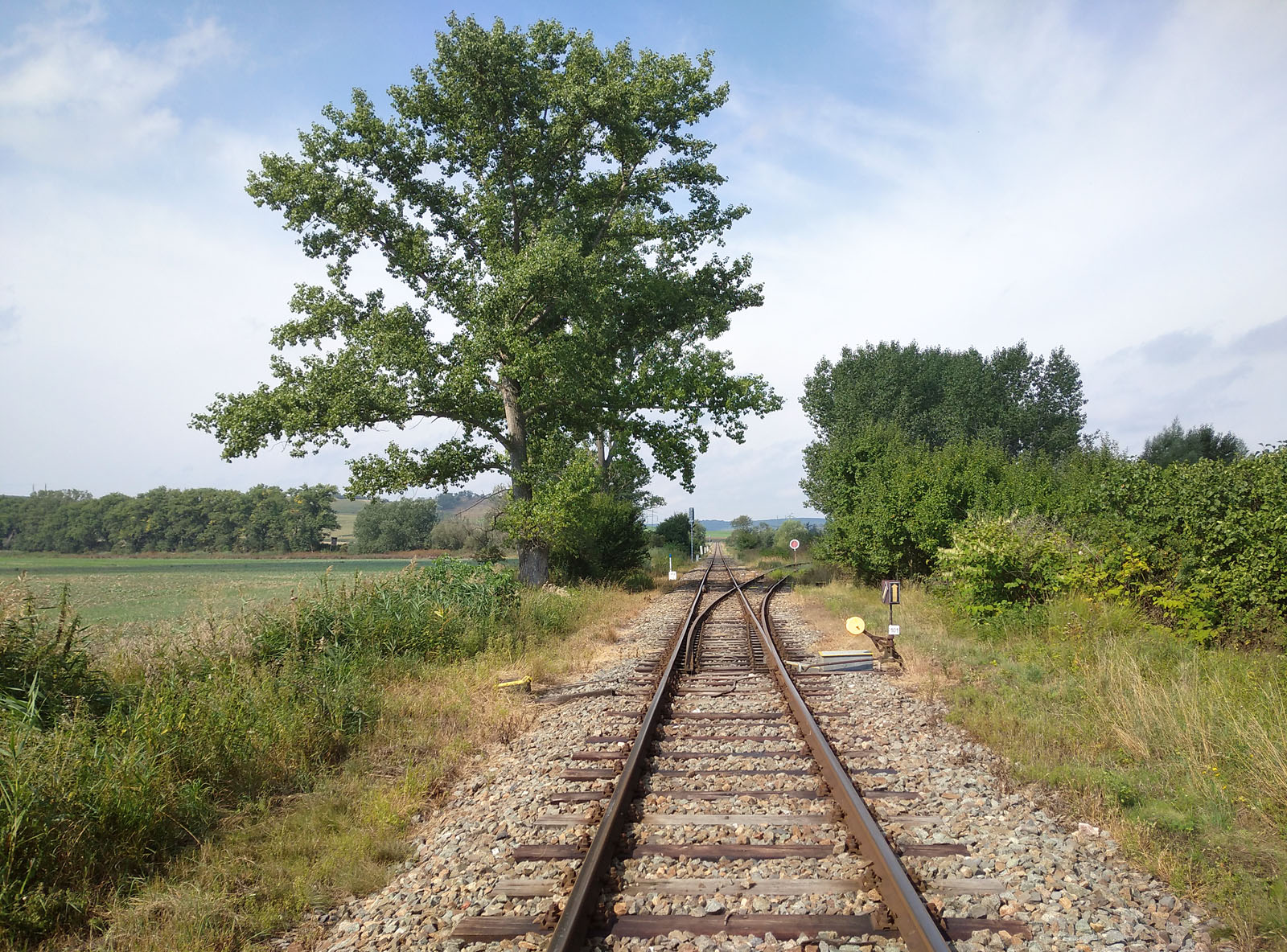 Důvodem byla návštěva krásného a smutného místa - odbočky Čejč, ze které kdysi mířily vlaky do Ždánic. Vyhýbka je stále na místě, z dráhy ale už nezbyl na kameni kámen. Aspoň jsem mohl povídat o tom, jak jsem ji projel posledním řádným vlakem v roce 2001 při cestě na 10. Oroheň.