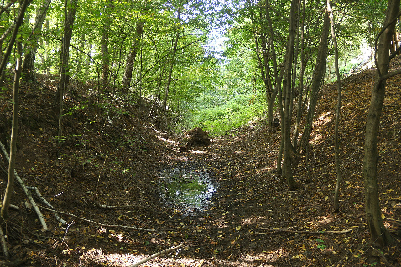 Mezi oběma místy odbočení koleje se nachází zachovalé zemní těleso složené ze zárubů, zářezů i náspů. Radost pohledět.