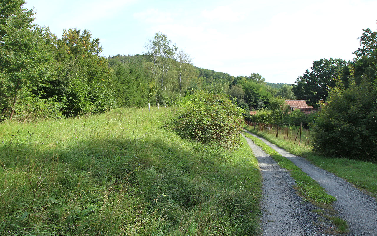 Násep před domem na ulici Tetčická 6 využili majitelé jako malý sad.