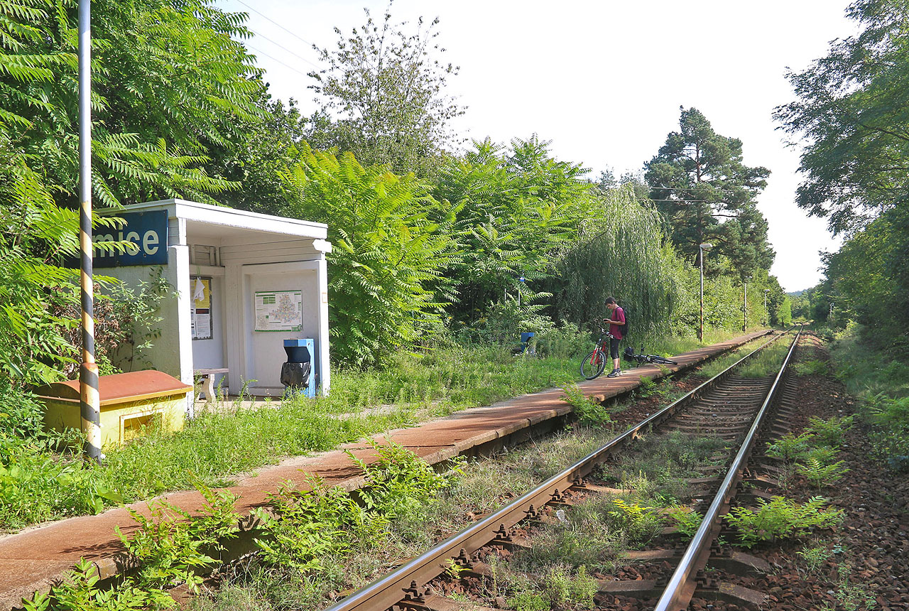 Ještě jeden pohled na zarostlou <a href="/Tema/Omice (žzast)">železniční zastávku Omice</a> ve vrcholícím pozdně letním rozpuku.
