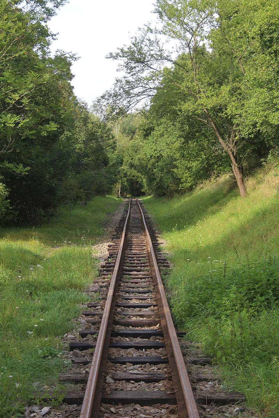 Úžasně romantický pocit ze dvou kolejnic procházejících postindustriální krajinou nám kazí snad jen dojem určité nepatřičnosti z nahrazení vlečné dráhy historicky nesmyslnou úzkokolejkou. Ale jako všichni ostatní musíme říct: „lepší než nic“!