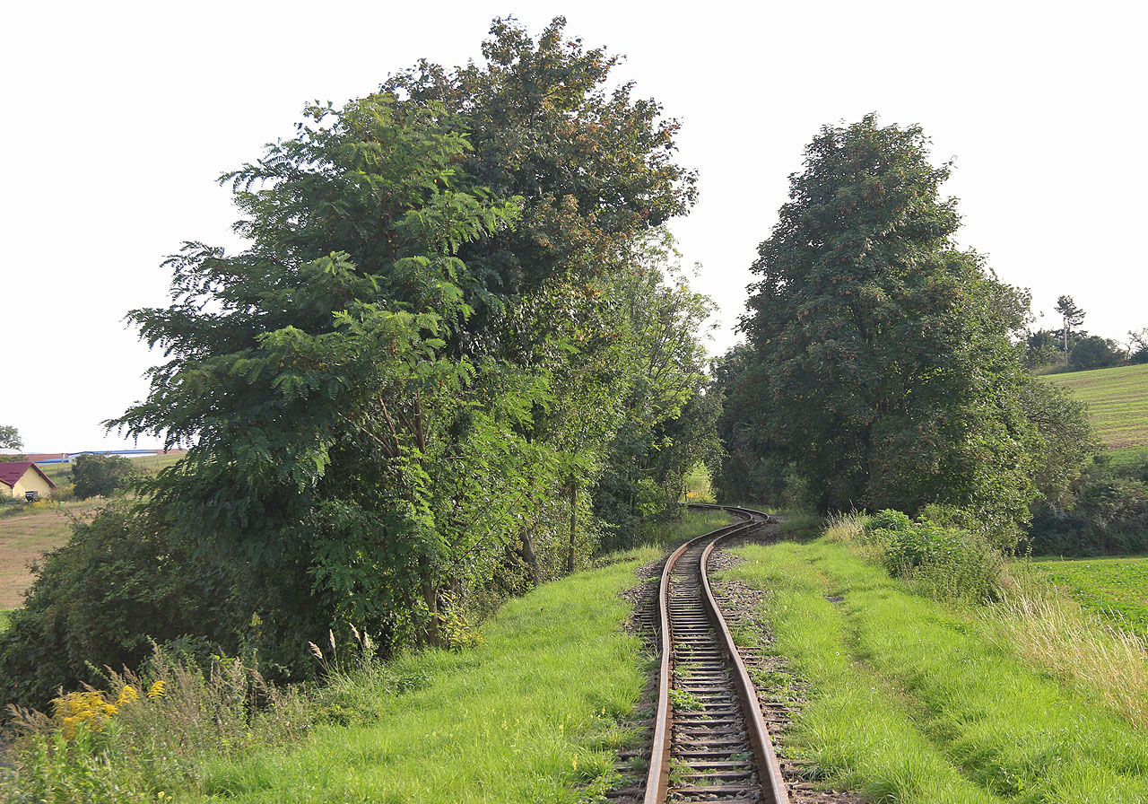 Úzkokolejka dopodus vede jen na začátek Zbýšova do čtvrti Síčka, resp. na okraj areálu bývalého dolu Jindřich. Původní odbočná dráha ale pokračovala dál a my s ní.