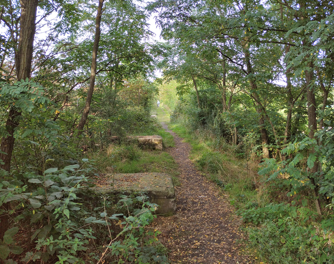 Vracíme se ještě po bývalé vlečce (mimochodem šlo o jednu z vůbec nejstarších železničních vleček v Česku) ke zbouranému nadjezdu nad Masarykovou ulicí. Zamykáme kola a šplháme se na vysoký a krásně zachovalý náspe, abychom si ověřili, že místní jej používají jako zkratku pro cestu na nákup.