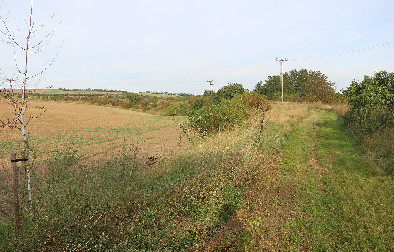 Snad nejmalebnější částí zrušené vlečky je táhlý oblouk v polích nad Anenskou čtvrtí (podle bývalého dolu Anna). Dráha tu po překonání hřbetu nad Zbýšovem už opět klesala do údolí Oslavy. Jako kluk jsem snil o tom, že by se dala prodloužit o nějakých 5 či 6 kilometrů údolím Balinky do <a href="/Tema/Oslavany (žst)">Oslavan</a>, kde by se připojila na <a href="/Tema/Železniční trať Ivančice–Oslavany">železnici z Ivančic</a>.