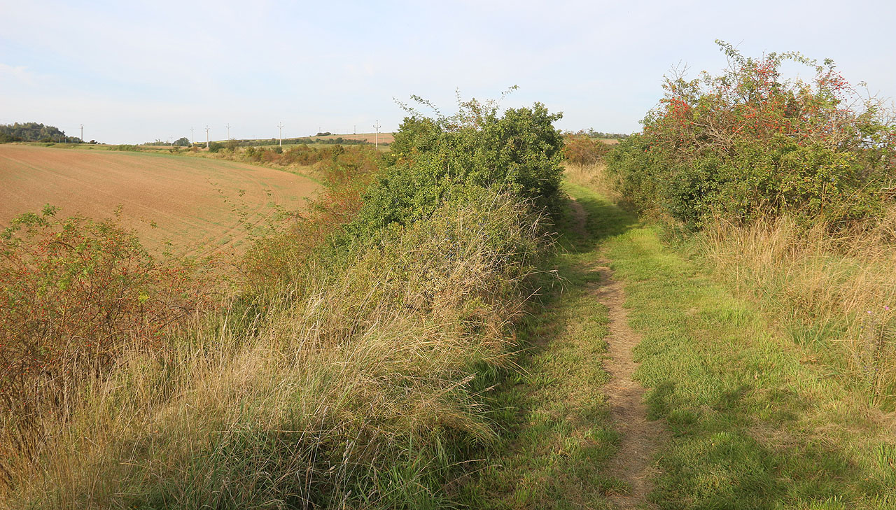 Takřka přesná kružnice náspu, po kterém dnes vede polní cesta, je nádhernou památkou na počátky železničního stavitelství v Česku stejně jako ozdobou kraje, který to má dnes k železnici spíš daleko.