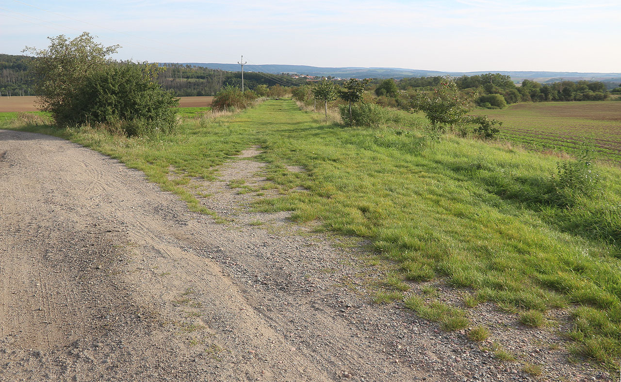 Opouštíme zaniklou dráhu, protože nás v mapě zaujala bývalá cihelna pod Kobelíny.