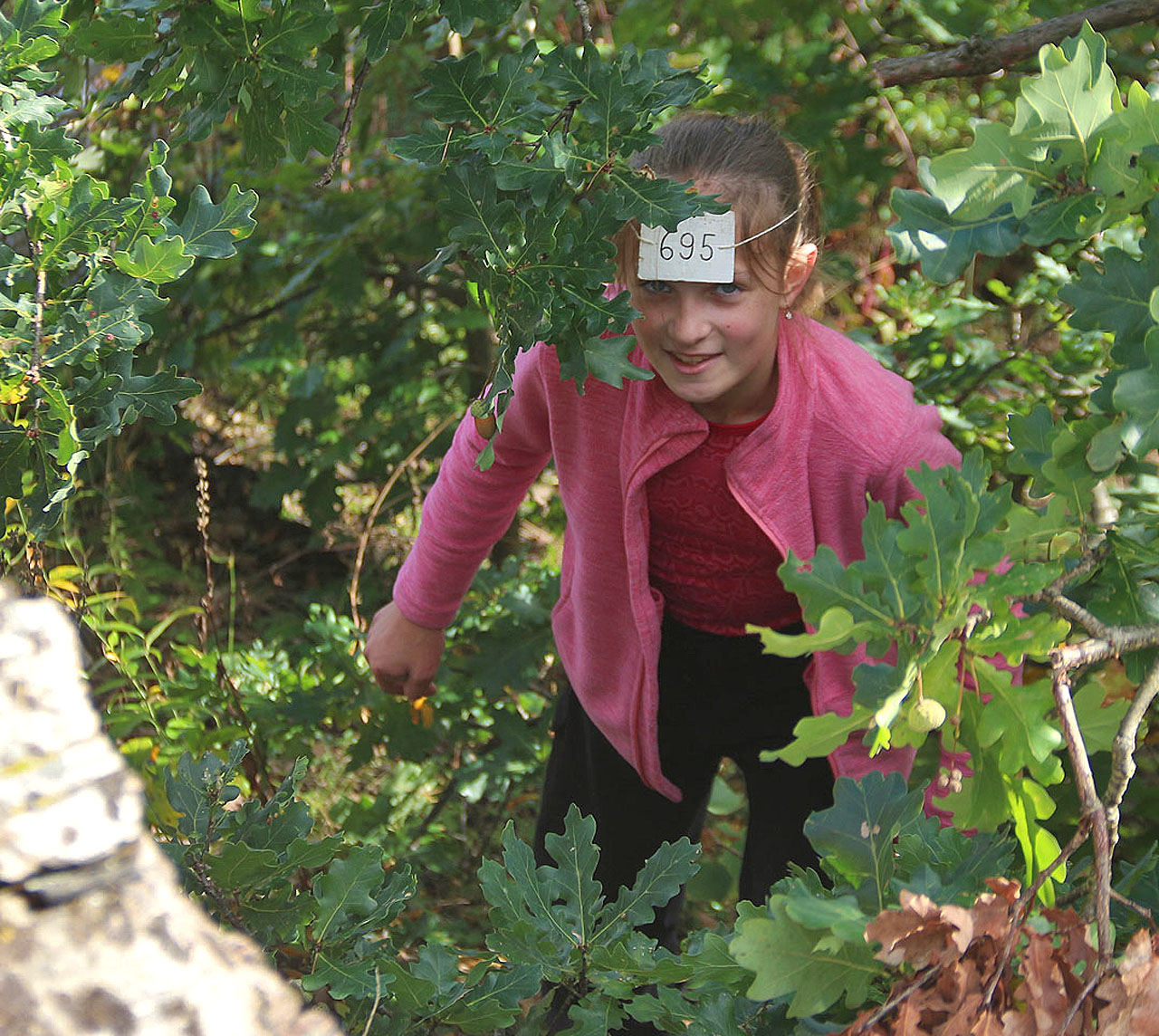 Míša se pro hru Boj o vlajky redukovala na hodnotu 695.