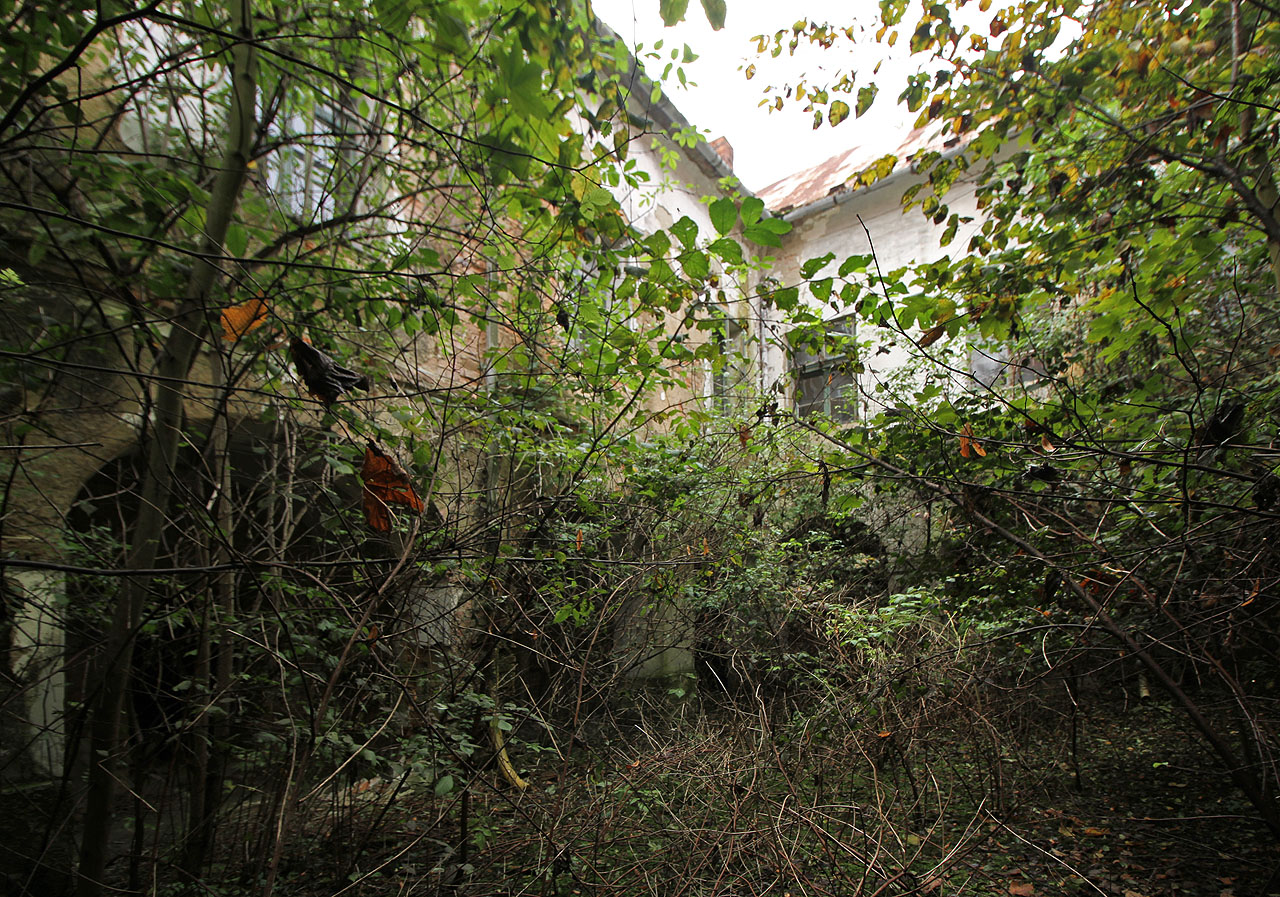 Někdo by snad řekl, že špatně. My jsme ovšem atmosféru místa, kde by se mohla natáčet třeba pohádka O Šípkové Růžence, ocenili.