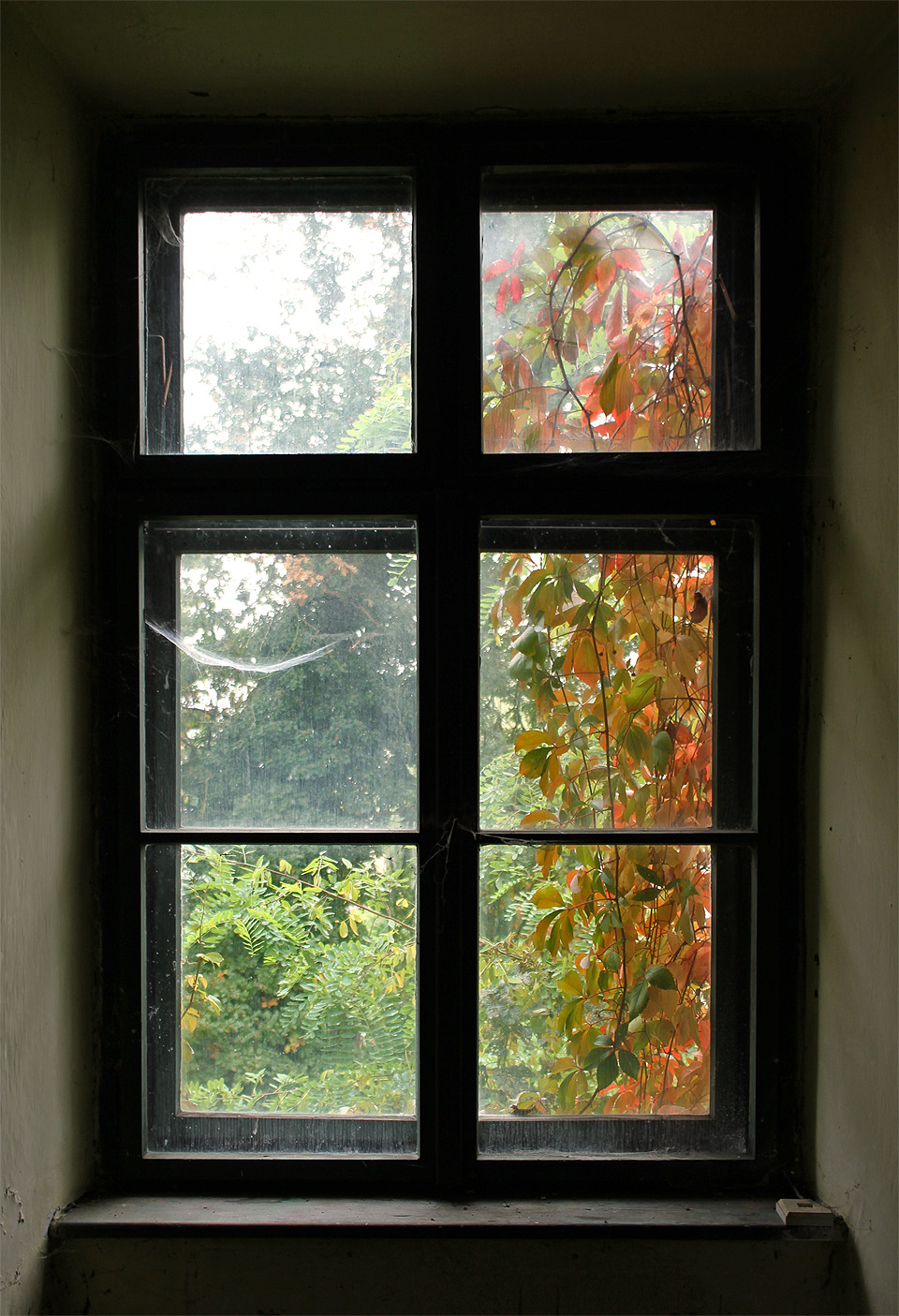 Venku se rozpršelo, ale my se máme na zámku jako na zámku!