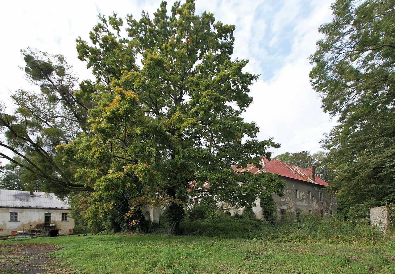 Do mezizámčí v Bravanticích jsme přišli ve chvíli, kdy dokonce krátce vysvitlo sluníčko.