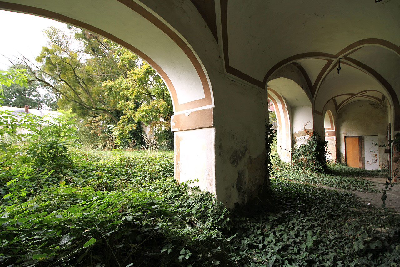 Příroda ovšem nikdy neváhá a své velvyslance mí i ve zdejším loubí.