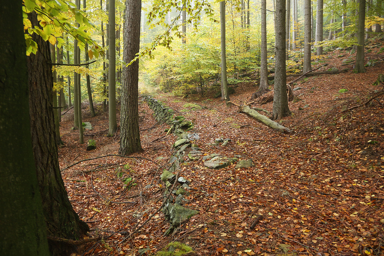 Solidní těleso ovšem lesní dělníci vybudovali nejen pod svážnicí, ale také pod systémem po vrstevnici se rozbíhajících odbočných kolejí jež ovinuly úbočí Černé stráně. Na severu se dokonce nejvyšší etážová větev spojila s jinou <a href="/Tema/Lesní železnice nad Annínem u Koutů nad Desnou">lesní železnicí nad Annínem</a>.
