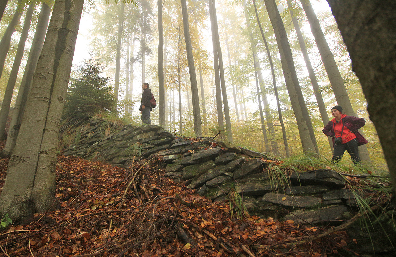 Přemyslovská železnice mě překvapila. Čekal jsem pár terénních vlnek ale našli jsme mohutné zdi, stovky metrů dlouhé svážnice a dodnes nádherně zachovalé tělěso dráhy.