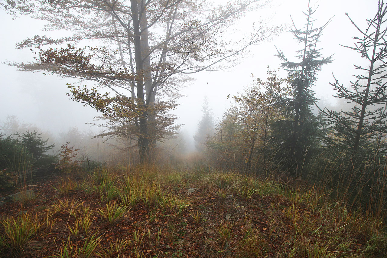 Celé soustavě se dondes říká Bremsberky podle německého Brems = brzda a Berg = kopec.