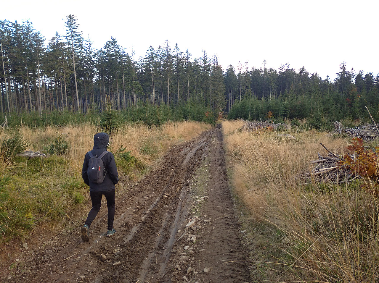 Cesta na vrch Mizerov.