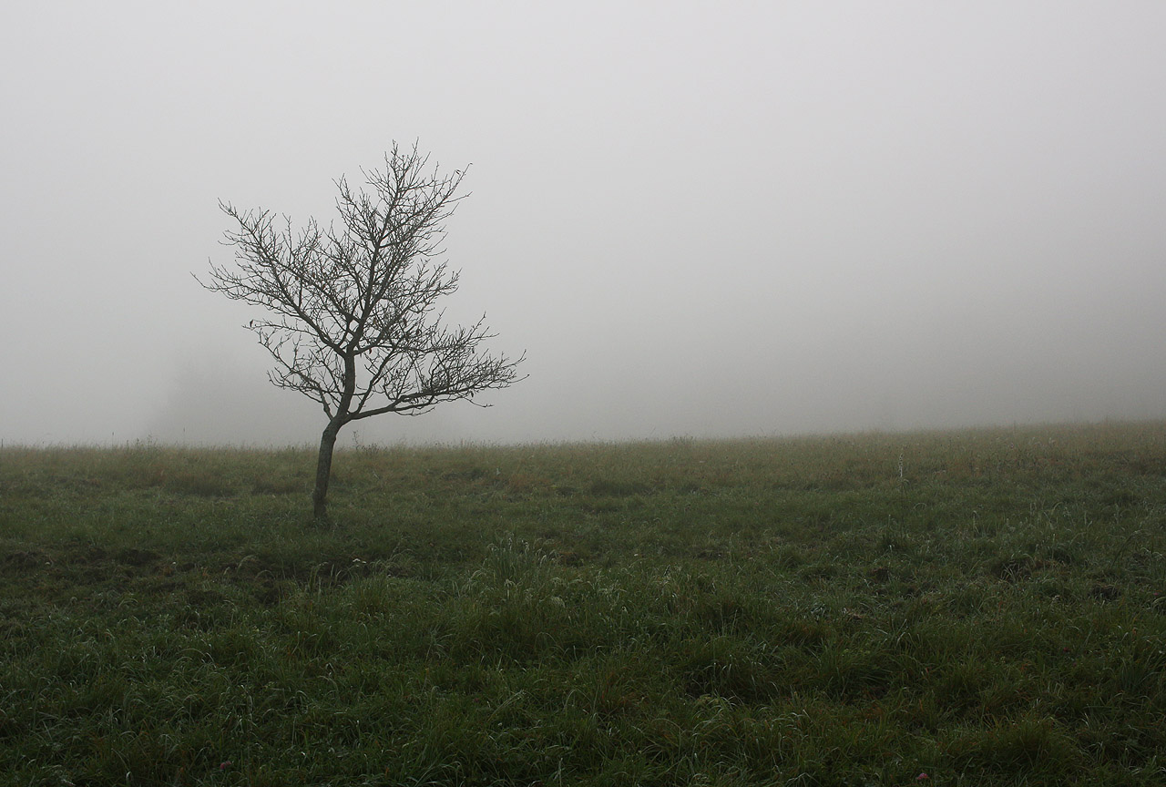 Cestou do civilizace: rána jsou kalný a slunko nezná stín…