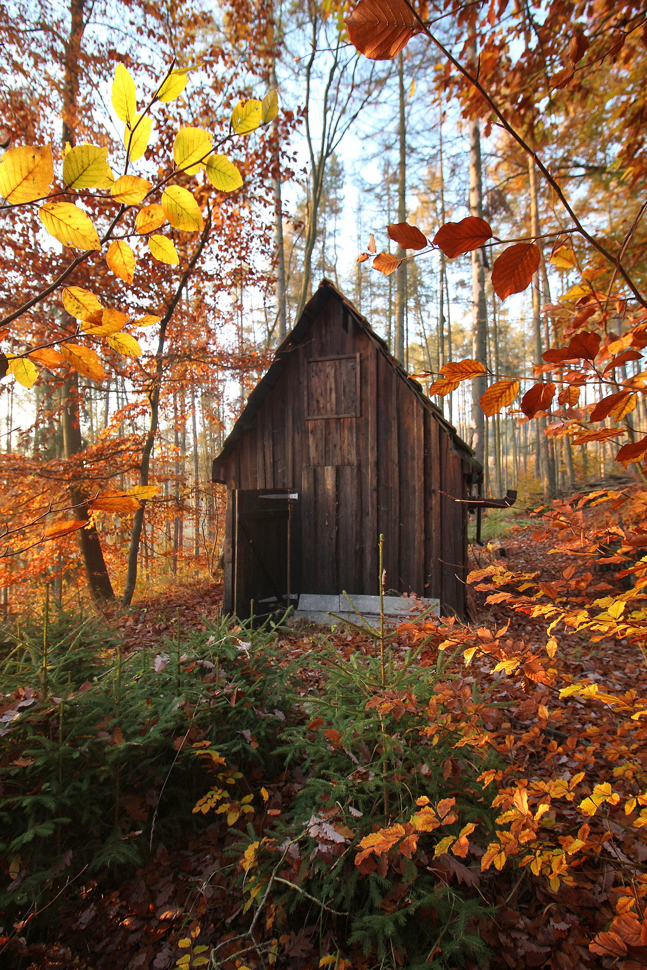 Nikdo už nezjistí, kdy přesně byla bouda postavená, podle odhadů jí je ovšem už přes 90 let a stále stojí!