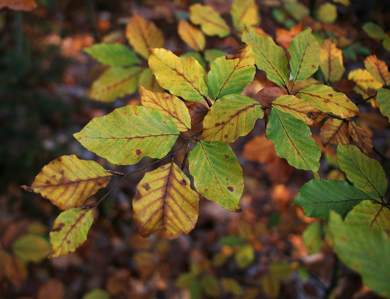 Času není nazbyt. Balíme a míříme do Brna.