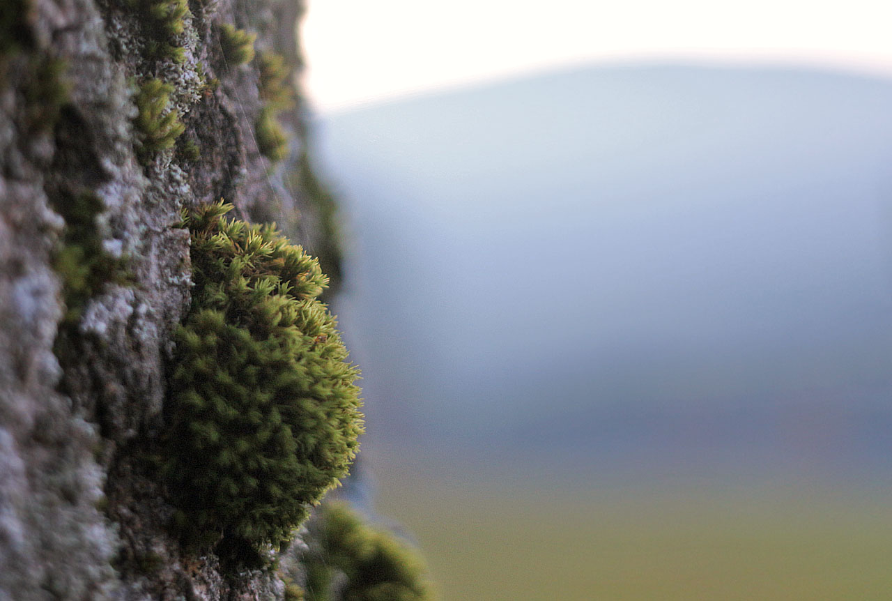 Kamarád Zlo tu nebyl, ale jistě by se mu líbily místní horské machy.