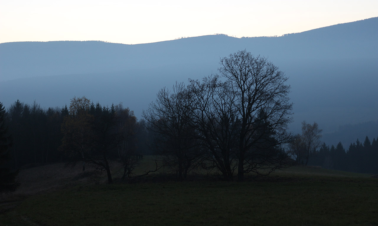 Tak tedy domů a do práce. Nevím proč, ale duchem jsem se přemístil někam k těm vysokým solitérním stromům na protějším hřebeni. Na chvíli nevnímám a představuji si, jak tam nahoře v horách vane větřík, tleje listí a obloha bledne; pdá na mě nedělní splín jako v dětství.