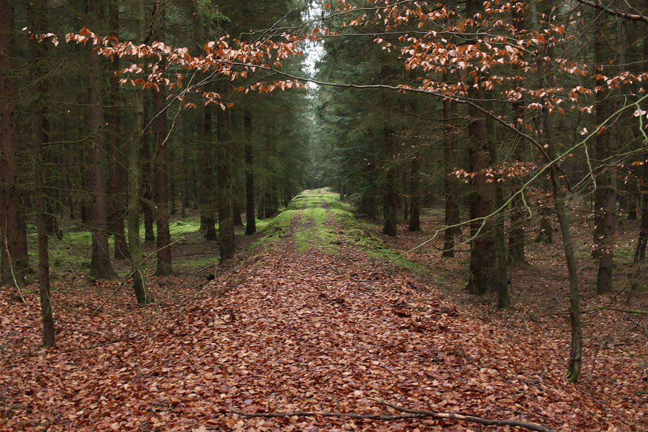 Další těleso směrem k osadě Tři stoly je v lese nádherně patrné.