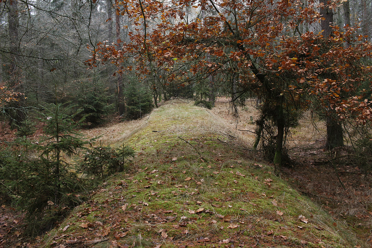 Tady by člověk nesešel z trati snad ani za tmy.