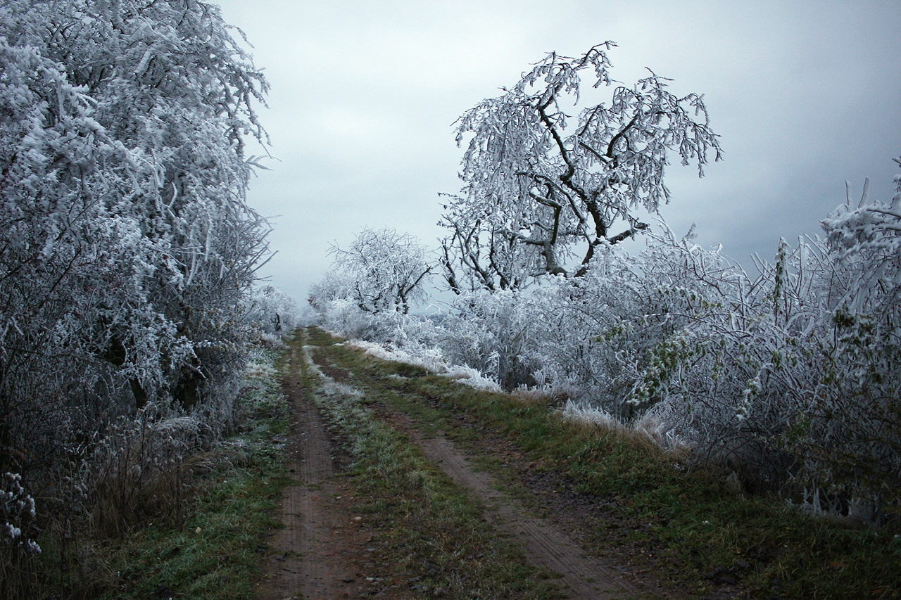 Po čtvrté hodině začal z těžkých mraků padat na zemi soumrak. Sešli jsme z trati jednak proto, že v našem zdroji je v úseku před Novým Domem špatně zakreslená, druhak proto, že nastal čas pospět na autobus.
