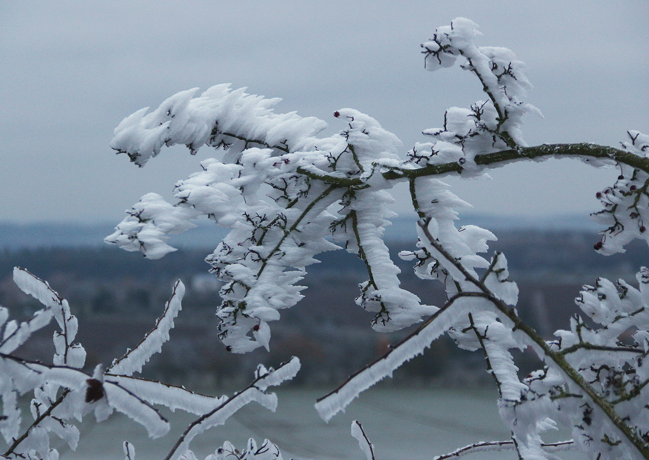 Mohutnost námrazy na pláních nad Novým Domem začala růst nade všechny meze.