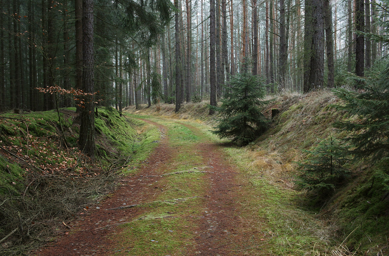 A přesto mělo nádraží kdysi svůj význam! Z okolních lesů se sem sváželo dřevo úzkokolejnou drážkou. Zanikla sice již takřka před sto léty, v lese jsou ale po ní pořád dobře patrné pozůstatky - náspy, mosty a zářezy, po kterých dnes vedou malebné lesní cesty.