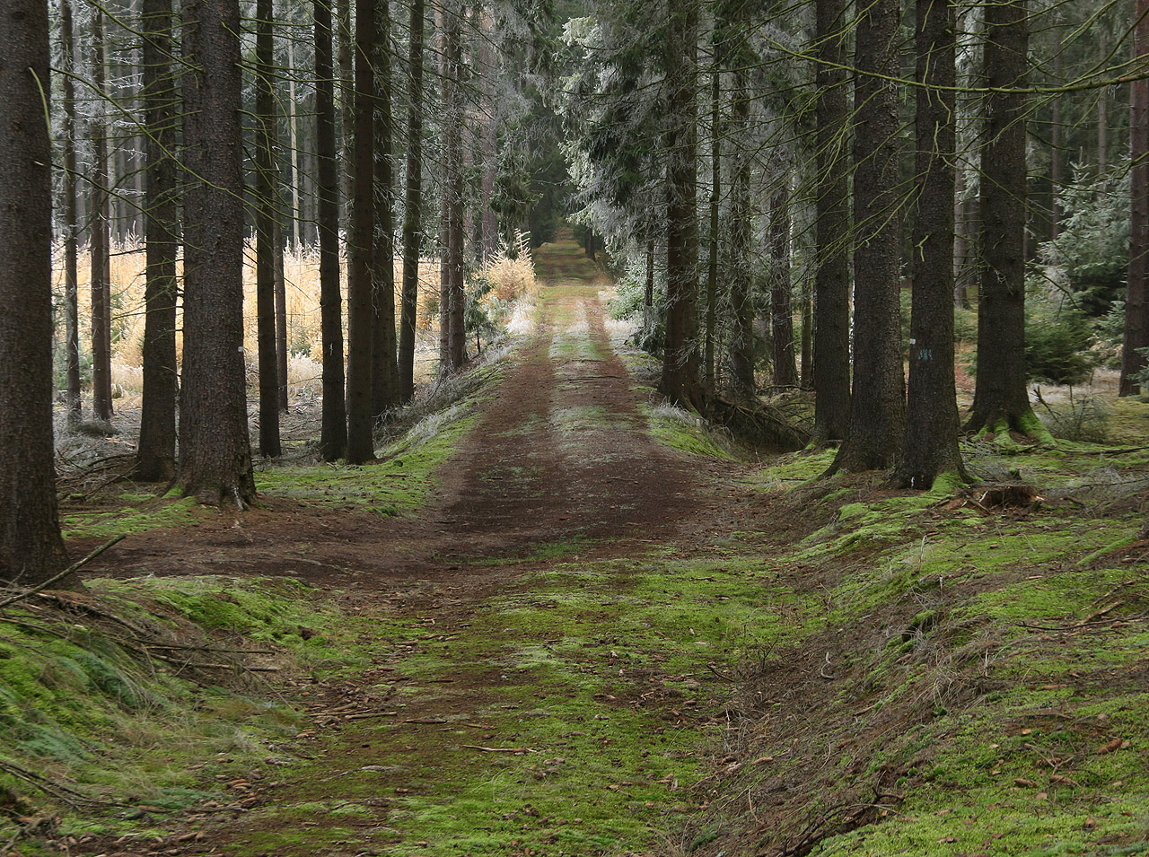 Přímé úseky, ladné oblouky a vyrovnaná niveleta cest nemůže nepodráždit oko zkušeného železničního archeologa. Je to tak - tudy jezdily kdysi parní vlaky!