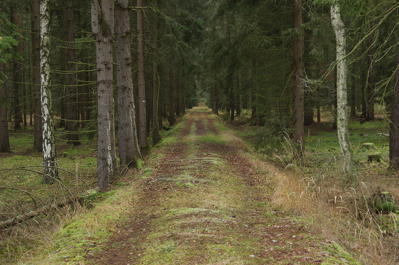 Z náspu jako by zmizely koleje teprve loni. A přitom už je to 93 let!