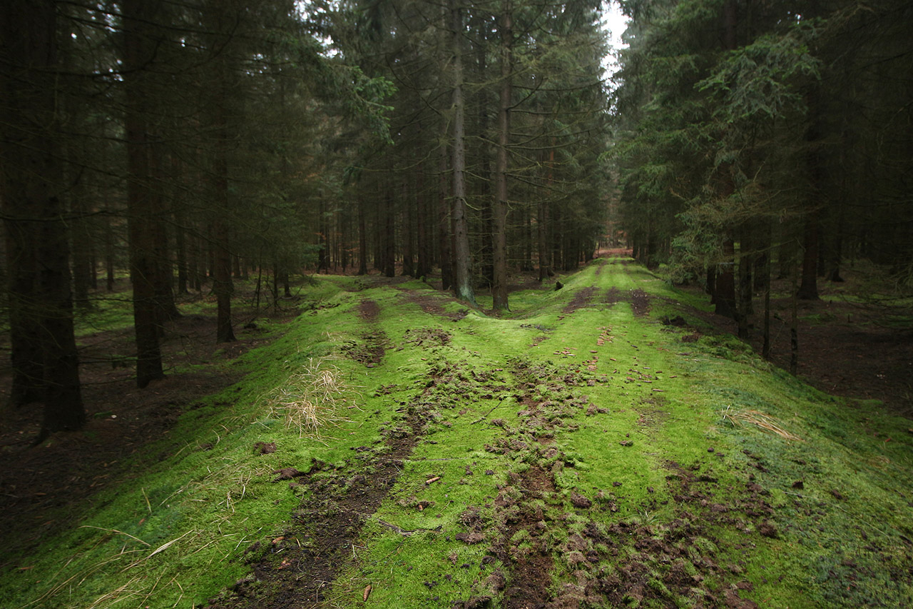 Podle dobových fotografií a dalších zdrojů měla dráha nejméně tři odbočky. nejdelší z nich vedla na hlubinný, avšak nehluboký uhelný důl Motolka. Na tomto místě odbočovala cca 700 m dlouhá kolej k dolu.