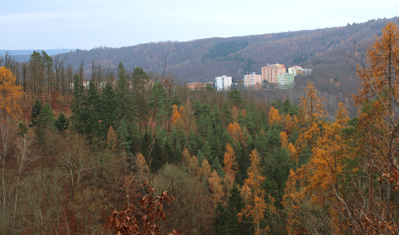 V poslednch letech se na úbočí nad Adamovem dosti kácelo. Z Dřínové se tak odkryly nové pohledy na Ptačinu.