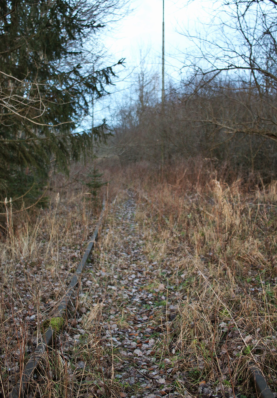 Právě na pile byla koncová stanice úzkokolejky, která se rozprostírala na svazích hory Slunečné na trase z Volárny.