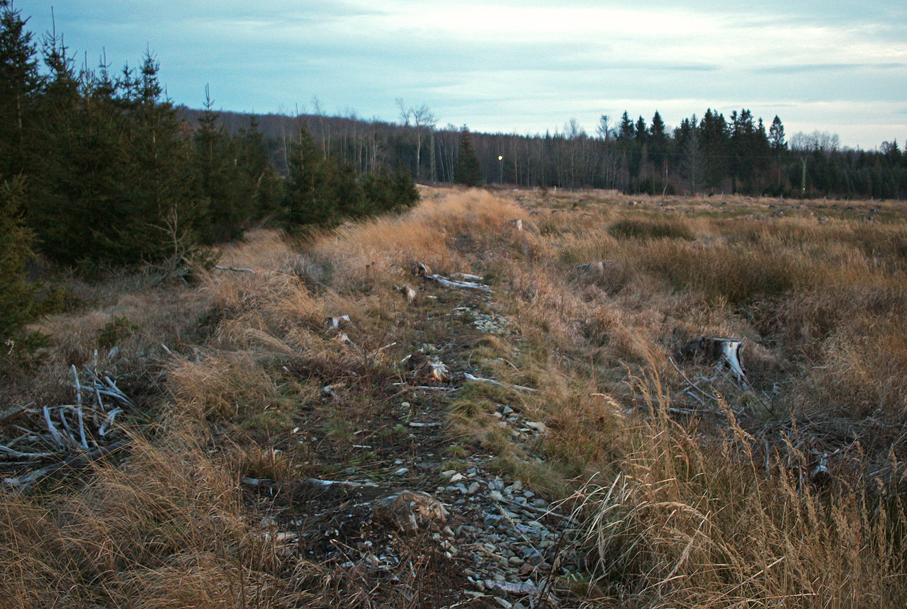 Těleso úzkokolejky je stále patrné.