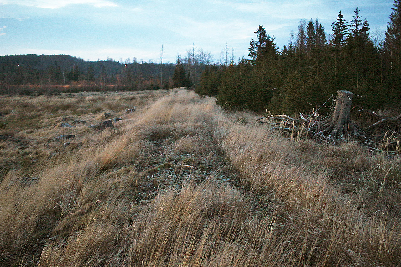 Těleso úzkokolejky Dětřichov nad Bystřicí – Volárna za soumraku.