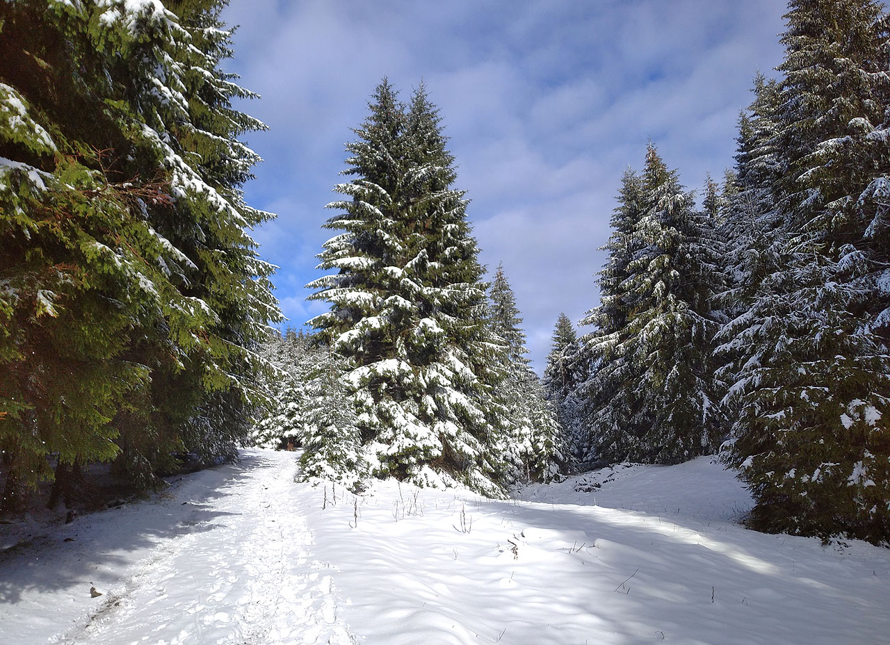 Sedmou návštěvu jsme vykonali my, když jsme se vydali za Gayerovými do Adamovského údolí. Od <a href="/tema/Ostružná (žzst)">železniční zastávky v Ostružné</a> jsme přes sedlo Ostružník klesli do romantické oblasti zaniklých osad a dolů a na sněhu jsme si uvařili vajíčka k obědu.