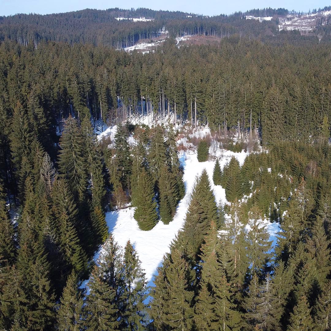 Hlavním cílem mrazivé neděle byla dvojice lesních úzkokolejek, které tu ještě před první světovou válkou sloužily pro svoz dřeva do údolí Čierňanky k Čadce. Dnes by vedly přes státní hranici. Konkrétně šlo o drážky <a href="/Tema/Úzkokolejka Čierne pri Čadci – Markov">z Čierného do Markova</a> a taktéž <a href="/Tema/Úzkokolejka Čierne pri Čadci – Hrčava">z Čierného do Hrčavy</a>. Pod sněhem se pozůstatky hledaly skutečně špatně, ale pod odkazy lze nalézt výsledky mého bádání.