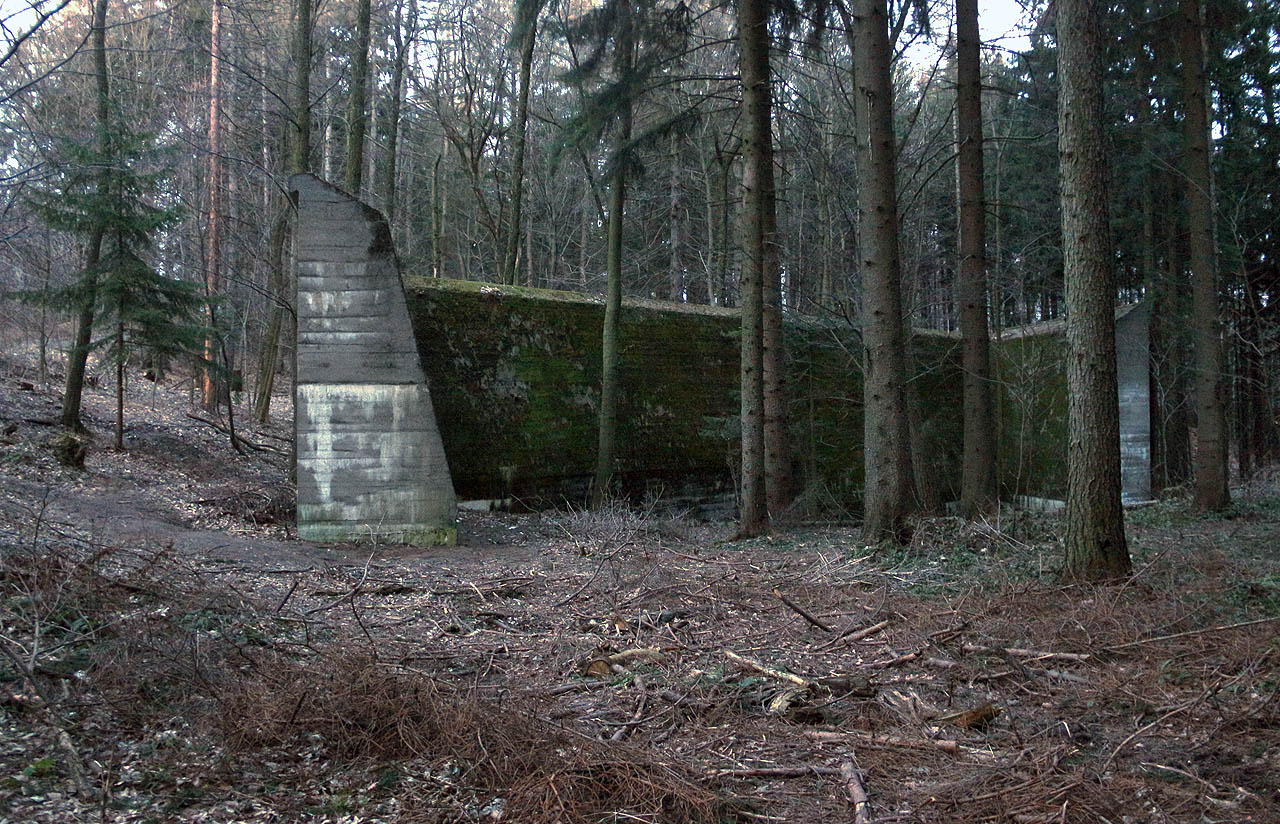 S Muskwou jsme se potkali na Vlčáku nad <a href="/Tema/Cetechovice">Cetechovicemi</a> a provedl nás aspoň částí svého chřibského království. Ukázal nám třeba nedokončené mosty nedokončené Baťovy dálnice, ze kterých si trampové udělali své kempy. Došli jsme tak během tří dnů až do okresu kroměříž a když nás Muskwa ochotně hodil do <a href="/Tema/Kojetín (žst)">Kojetína</a> na vlak, dostali jsme se v sobotu v noci dokonce legálně (návrta do okresu trvalého bydliště je povolen) domů. 