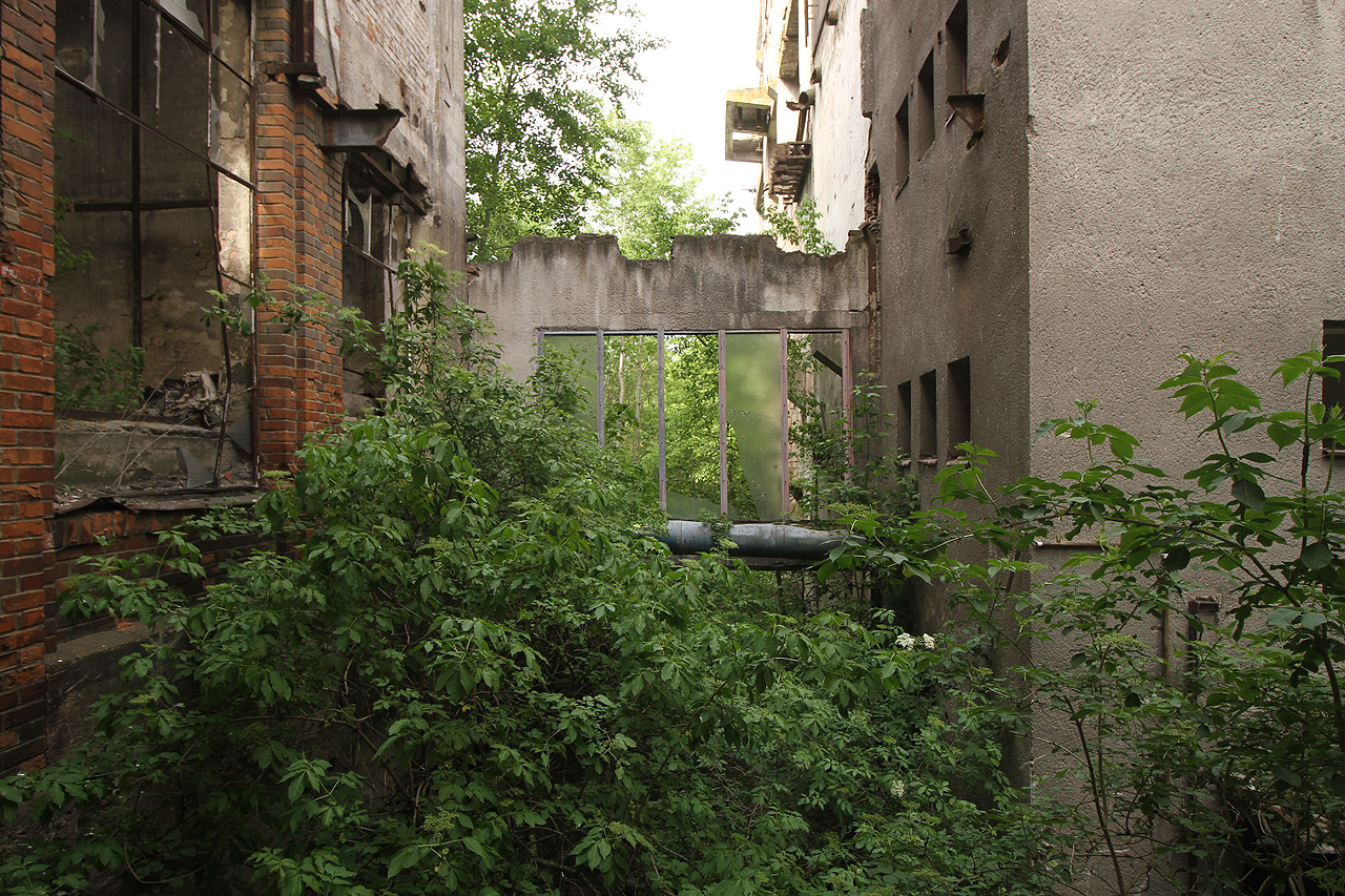 Vstup dovnitř nebyl nikdy jednoéduchý, protože kromě hlídače areál strážili taky zuřiví psi. Jednou bylo dokonce třeba se spasit útěkem skrze podzemní kolektory.
