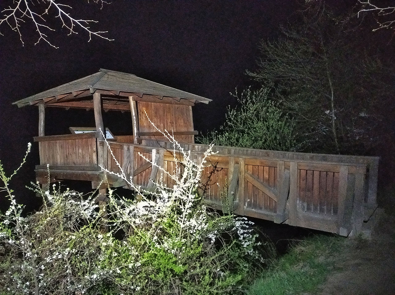 Pozorovatelna ptáků nad rybníkem Kotvicí kotvící mně poskytla romantický přístřešek před deštěm a prostor pro poslech kvákajících žab. Bylo to moc hezké.