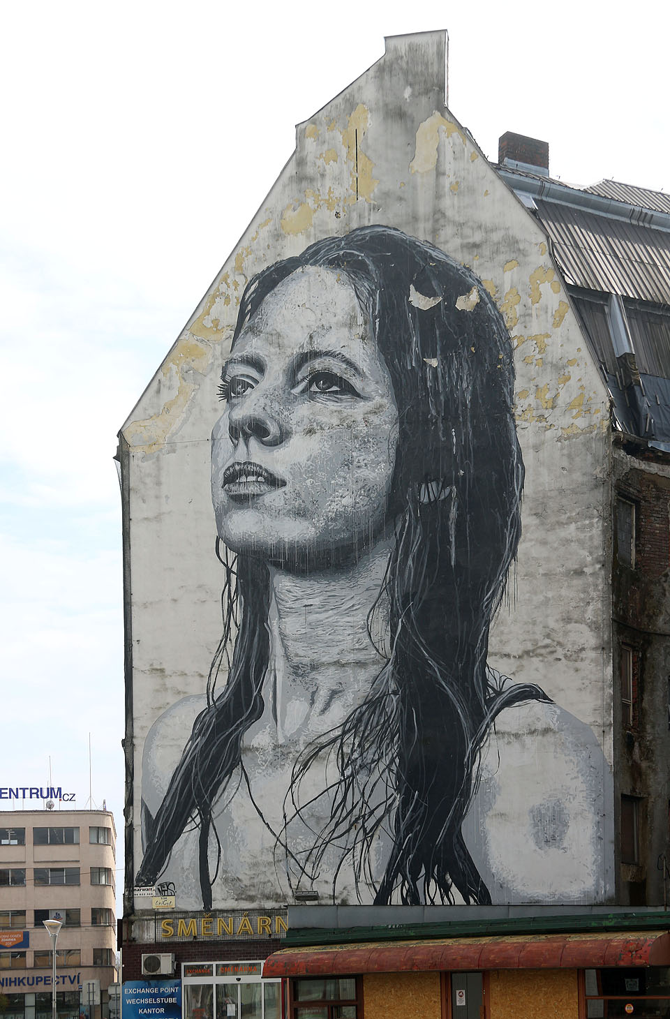 Mural Meredith od amerického malíře Nielse Westergarda z roku 2016 se pomalu stává jedním z kultovních uměleckých děl Ostravy. Zajímavé je na něm mj. to, že zdobí stěnu opuštěného obchodního centra Ostravica.