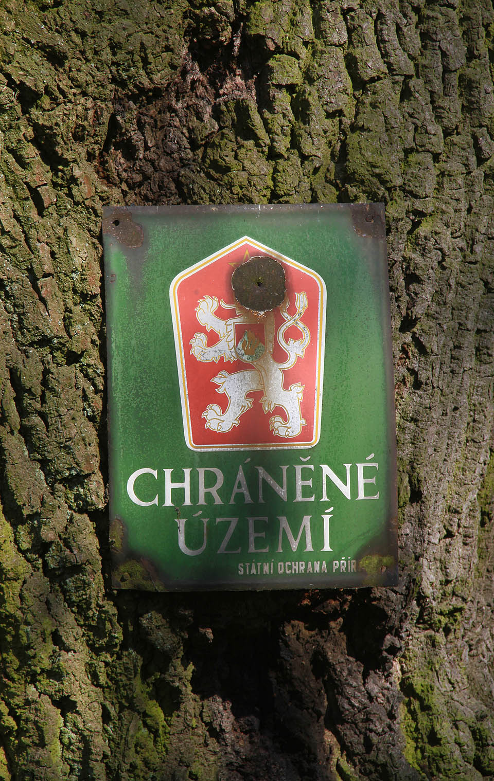 Geologický profil Smečenské rokle je chráněn jako přírodní památka. V praxi ale území po desítky let starou cedulí funguje spíš jako černá skládka odpadu.