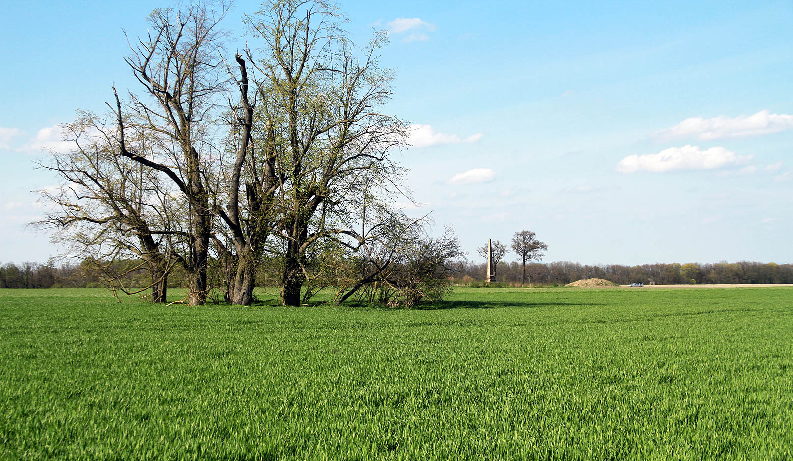 Přes polní trať V Lípách procházela úzkokolejka diagonálním táhlým a nudným úsekem, dnes rozoraným. Na dohled od ní se však nacházel neobvyklý obelisk, místně zvaný pyrám, ve skutečnosti památník Hraběte Karla Jana Nepomuka Clam Martinice.