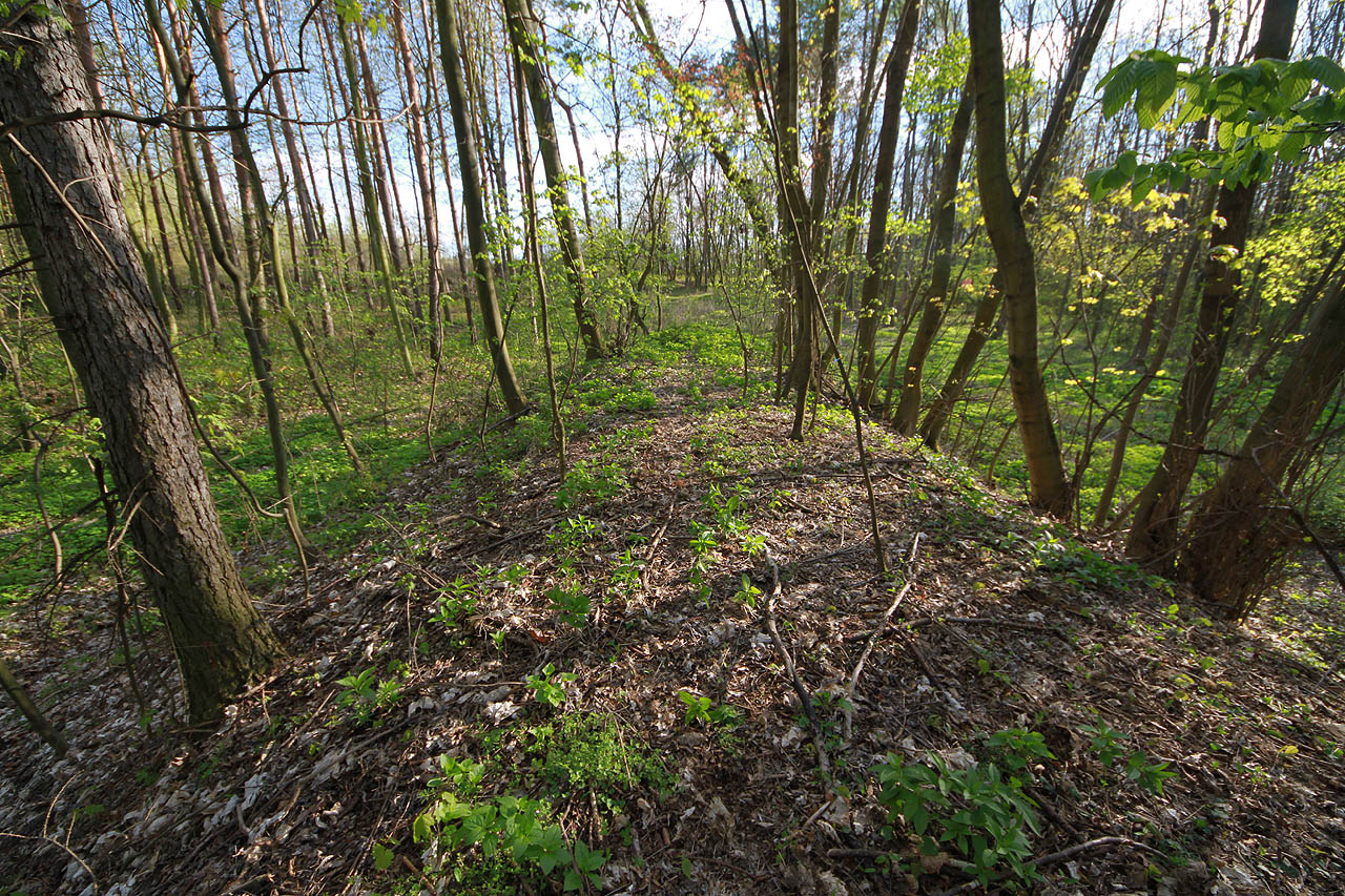 Ve Smečně se dráha větvila. Hlavní větev pokračovala na sever k zámku Šternberku, Přelíci, Kvíci a do Slaného mimo jiné po úctyhodném náspu. Nás ovšem zajímala víc odbočná větev do zámeckého parku a pivovaru.