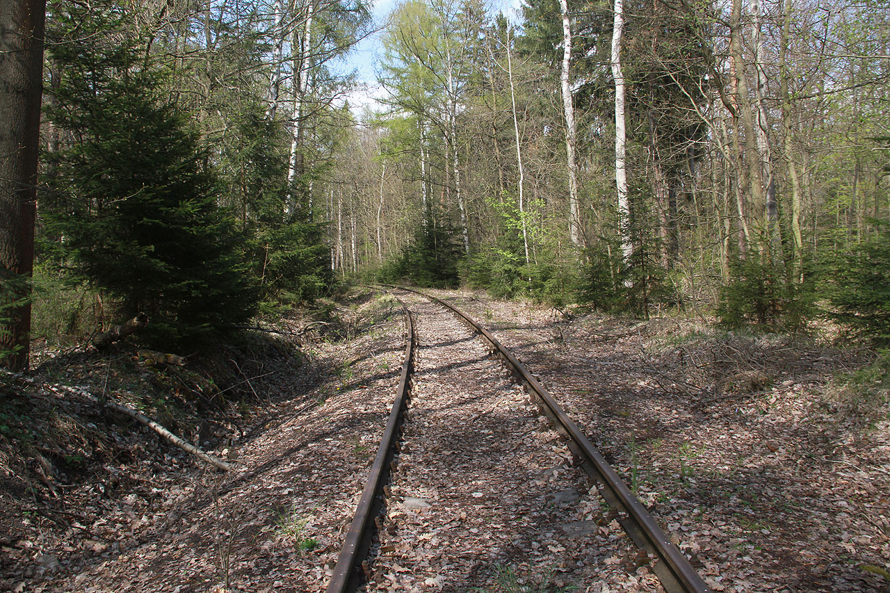 Vlečka už je zjevně delší dobu bez využití a její kolej tak příjemně vrůstá do okolního lesa. Harmonie sepětí přírody a techniky tak, jak ji mám rád.