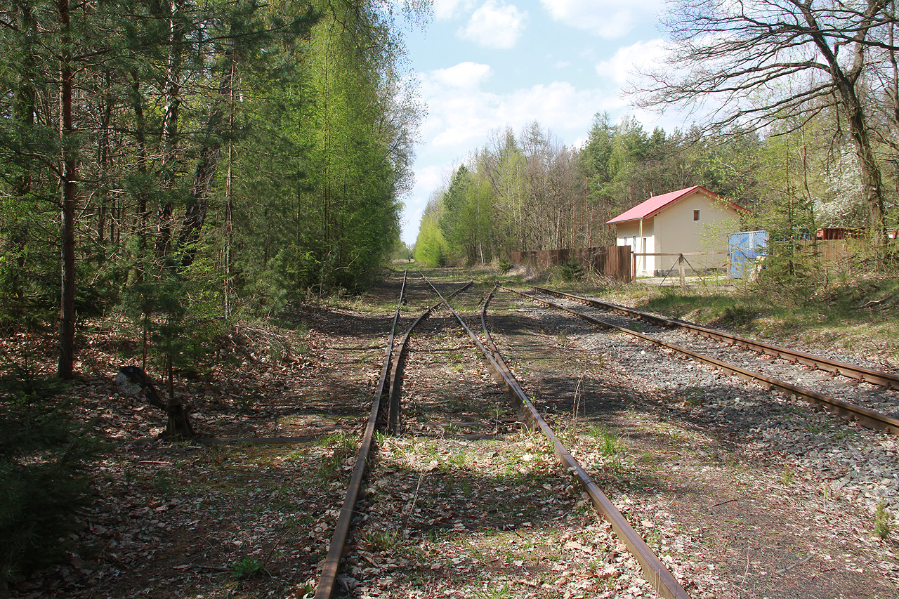 Koncová „stanice“, resp. kolejiště vlečky v lese za dolem Schoeller. Také tady bývalo kdysi rušno, špinavo a hlučno. Po uhlených vlacích, páře, mouru a oleji však v jarní přírodě už není ani památky. Těžba skončila v roce 2002, tedy před 19 roky.