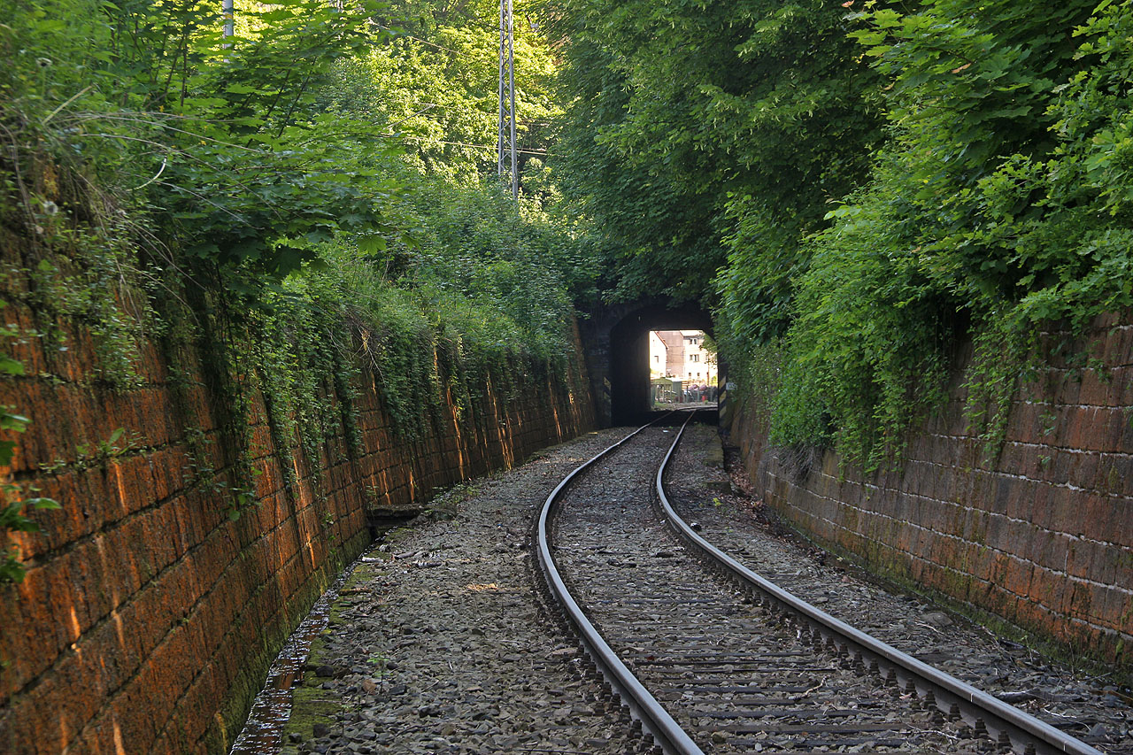 Opravdoví znalci ovšem ví, že tunely jsou na pravém břehu ve skutečnosti dva! Hluboko pod <a href="/Tema/Děčínský tunel">Děčínským tunelem</a> se ve chladném a vlhkém skalním zážřezu prokousává k přístavu <a href="/Tema/Loubský tunel">tunel Loubský</a>, který je jediným tunelem na železniční vlečce v Česku.